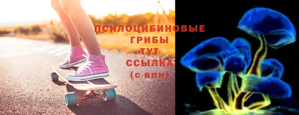 PSILOCYBIN Абаза