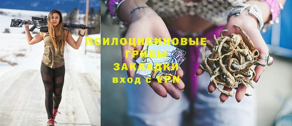 ешки Алзамай