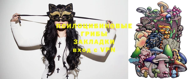 ешки Алзамай